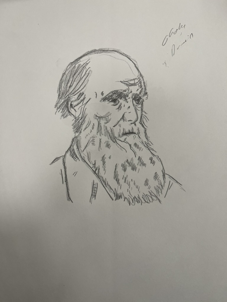 Darwin